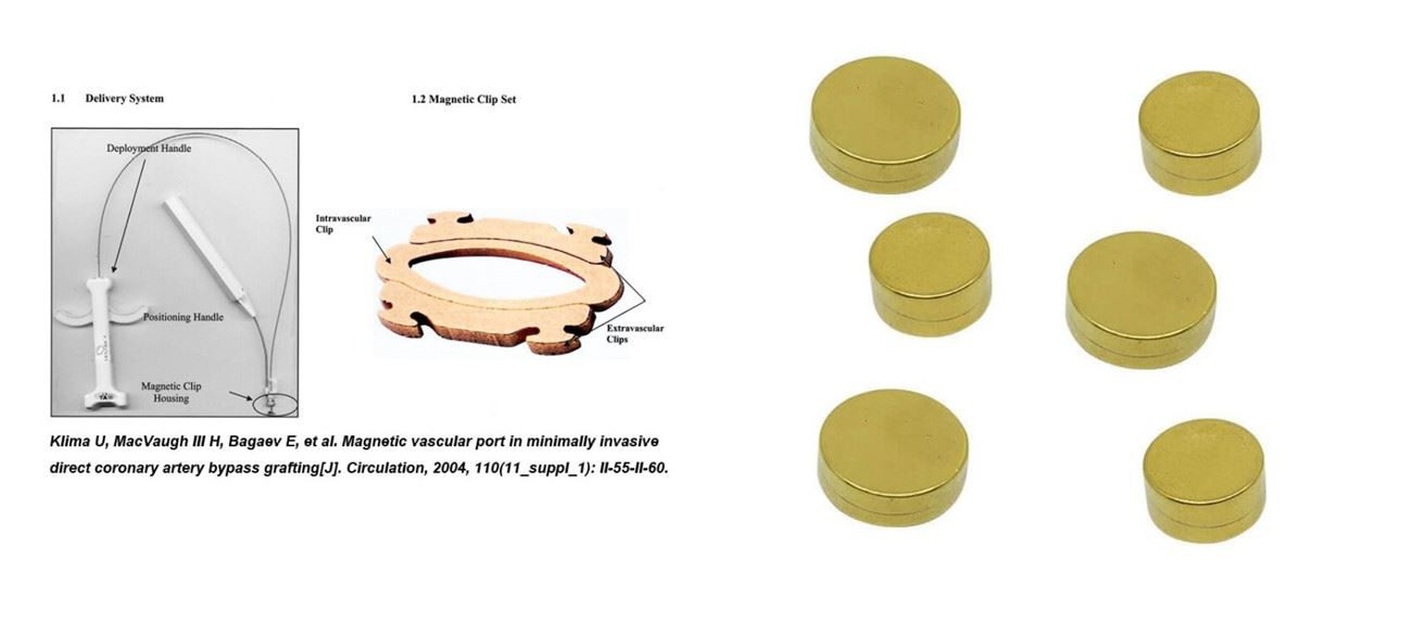 Neodymium Titanium Nitride Coated Magnets-2